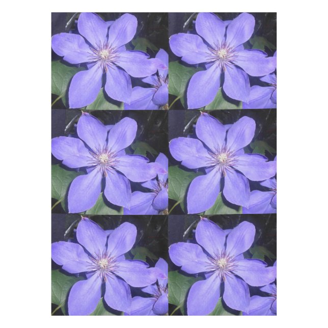 Césarine Tablecloth (Front)