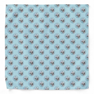 Cesky Terrier Painting - Cute Original Dog Art Bandana