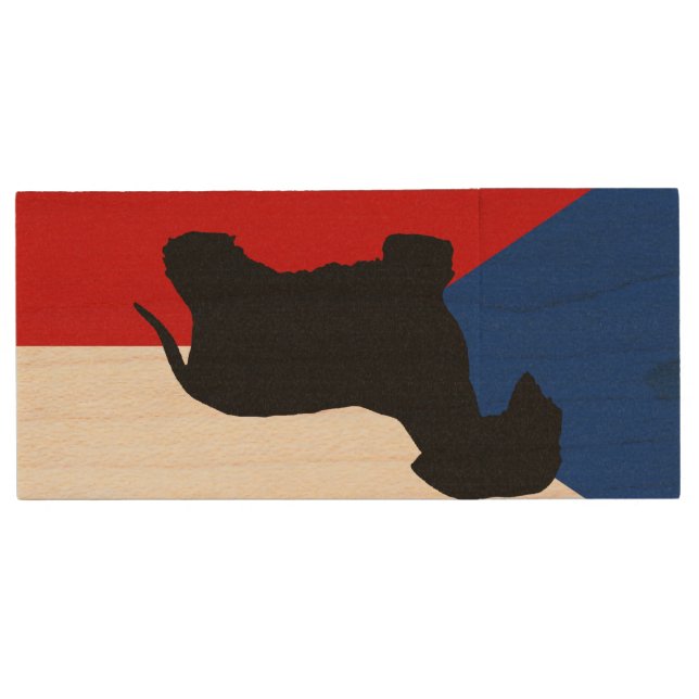cesky terrier silo czech-republic flag wood flash drive (Front)