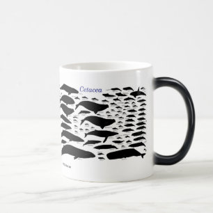 Cetaceans Color Morph Mug