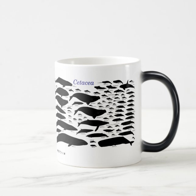 Cetaceans Color Morph Mug (Right)