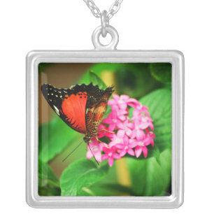 Cethosia biblis Necklace