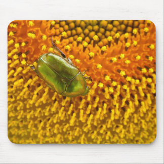 Cetonia aurata mouse pad