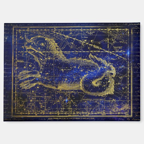 cetus constellation magnet