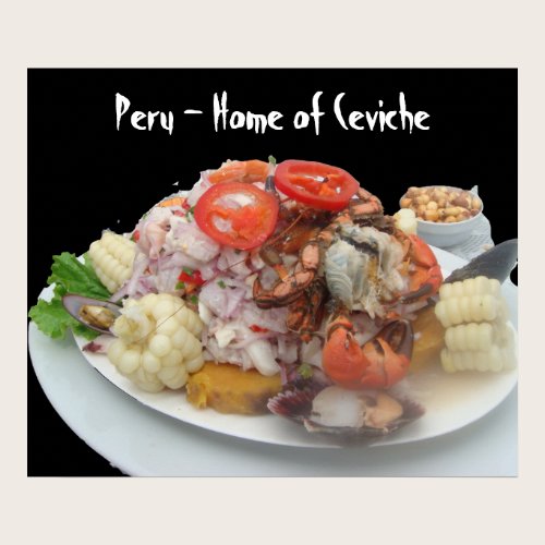 Ceviche con Mariscos -on Dramatic Black Background Poster