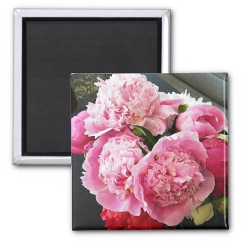 Cf- Pink Peony Magnet by patcallum at Zazzle