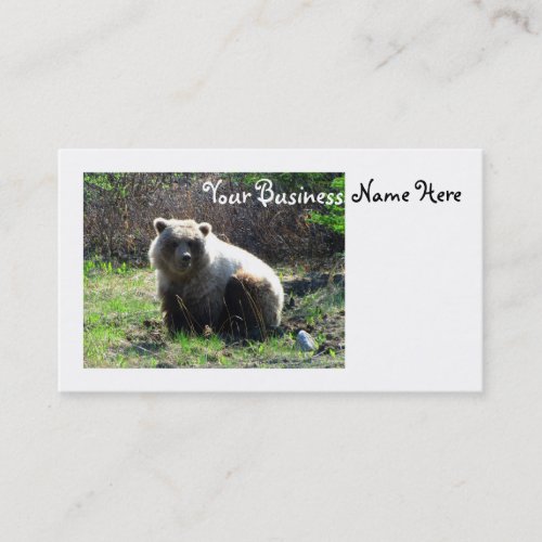CGB Chubby Grizzly Bear Business Card