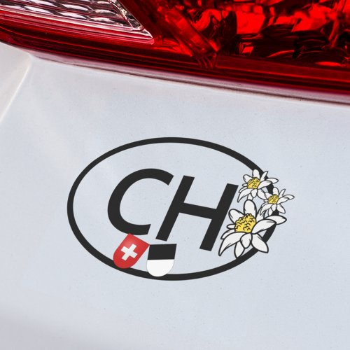 CH _ Swiss  Fribourg Flags with Edelweiss Flowers Car Magnet