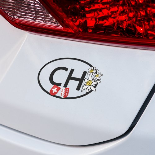 CH _ Swiss  Valais Flags with Edelweiss Flowers Car Magnet