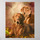 Cha Cha - The Chocolate Lab Art Poster/Print Poster