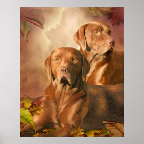 Cha Cha - The Chocolate Lab Art Poster/Print Poster