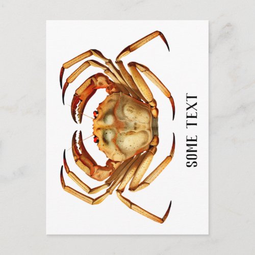 Chaceon the Atlantic deep sea red crab Postcard