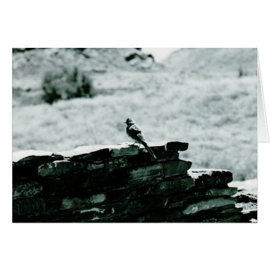 Chaco Bird card (Front Horizontal)
