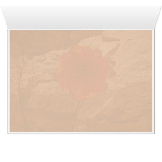 Chaco Stone Rose (Inside Horizontal (Bottom))