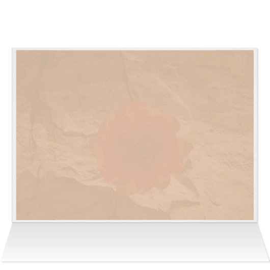 Chaco Stone Rose (Inside Horizontal (Top))