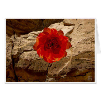 Chaco Stone Rose Cards