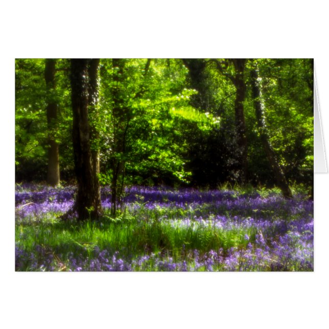 Chaddesley Bluebells Cards (Front Horizontal)