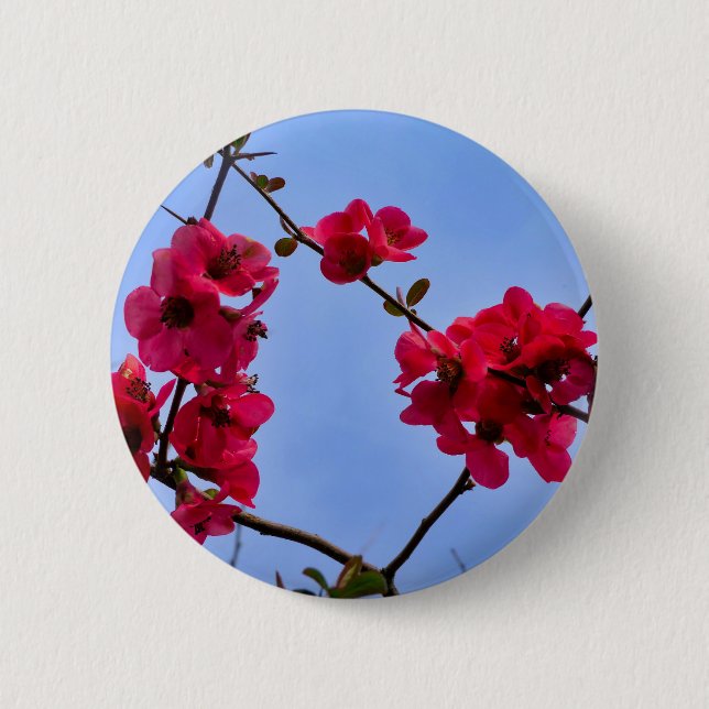 Chaenomeles speciosa Badge Button (Front)
