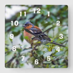 Chaffinch Acrylic wall clock