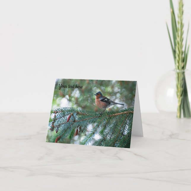 Chaffinch bird Greeting card (Front)