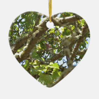 Chaffinch Ceramic Ornament