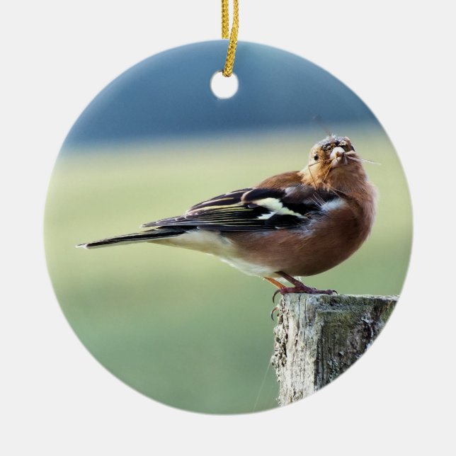CHAFFINCH CERAMIC ORNAMENT (Front)