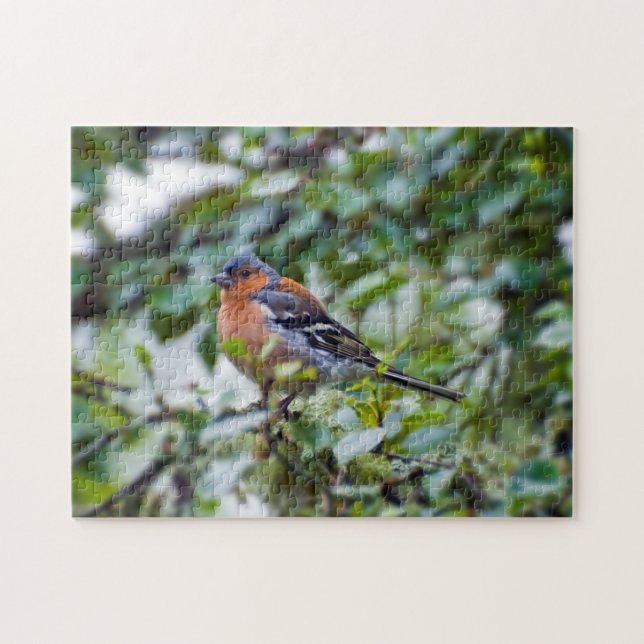 Chaffinch Jigsaw puzzle (Horizontal)
