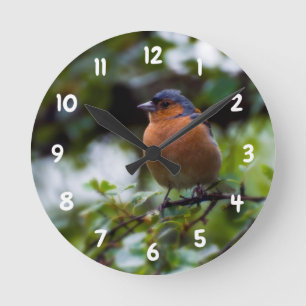 Chaffinch on a branch Acrylic wall clock