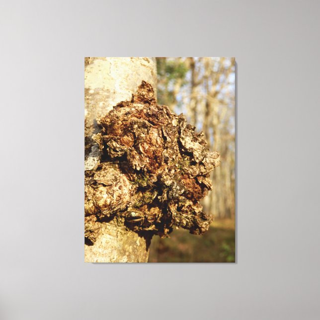 Chaga Mushroom Canvas Print (Front)
