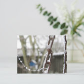 Chain and Pearls (Standing Front)