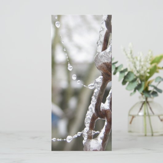 Chain and Pearls (Standing Front)