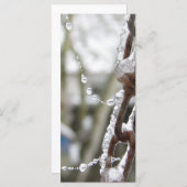 Chain and Pearls (Front/Back)