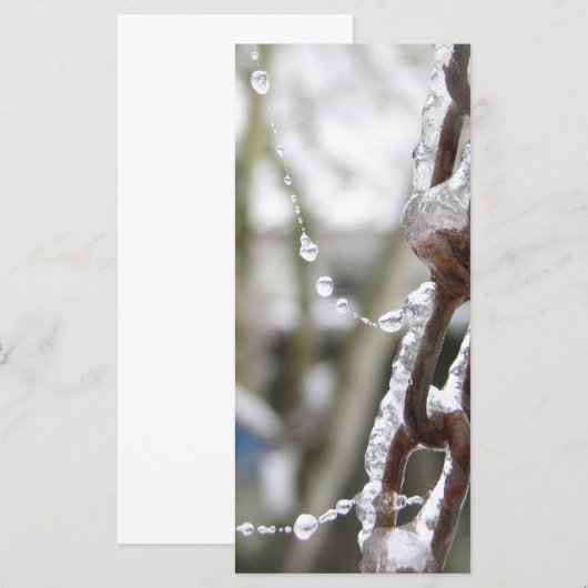 Chain and Pearls (Front/Back)