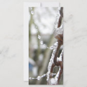 Chain and Pearls (Front)