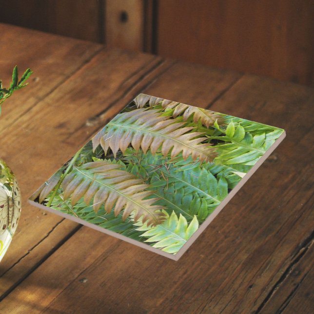 Chain Fern Fronds Floral Tile (In Situ)
