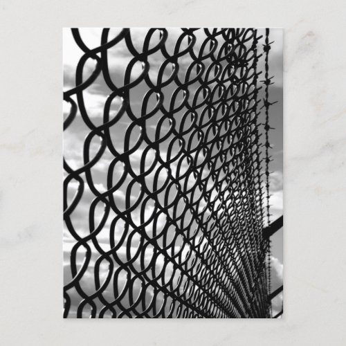 Chain Link Fence Art Photograph in Black  White Postcard