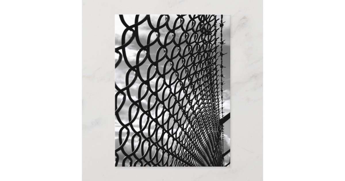 Chain Link Fence Art Photograph in Black & White Postcard | Zazzle