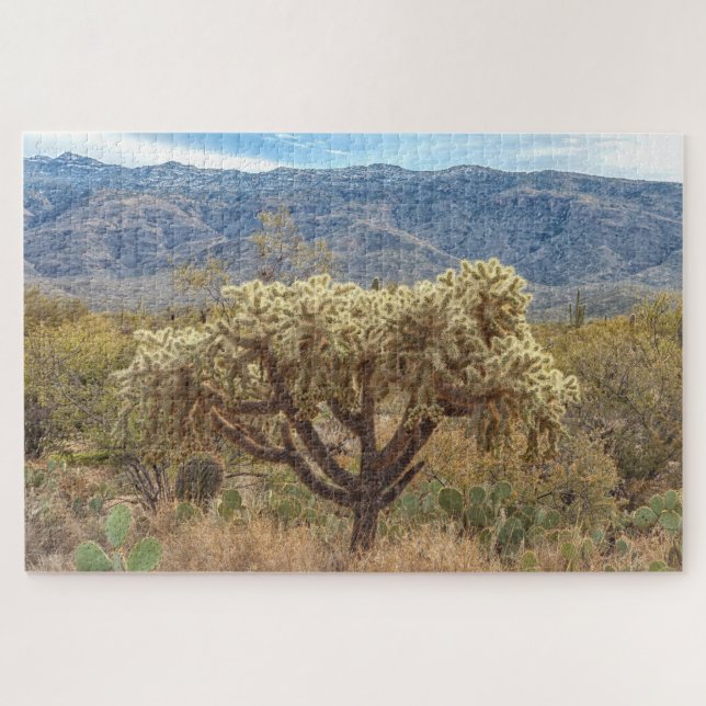 Chained-Fruit Cholla at Sonoran Desert Jigsaw Puzzle (Horizontal)