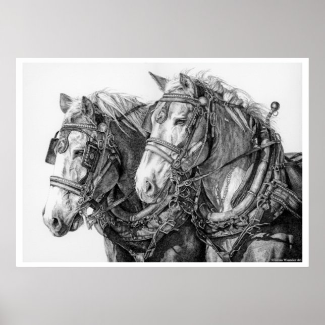 Chained to the World Draft Horses Drawing Poster (Front)