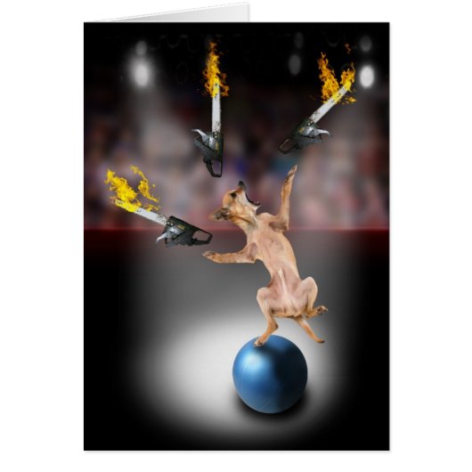 Chainsaw Juggling Chihuahua Cards (Front)