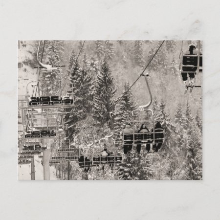 Chairlifts Above The Trees Postcard