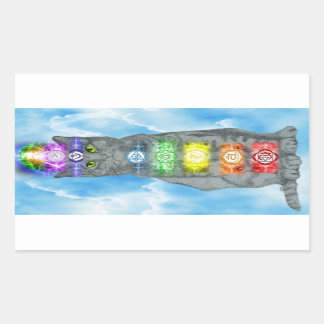 Chakra Cat Rectangular Sticker