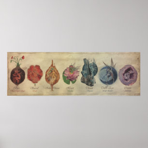 CHAKRA FAE CYCLE POSTER