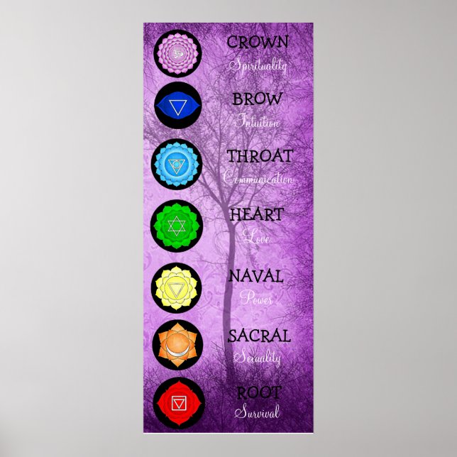 Chakras Centers Chart Chi Energy (Front)