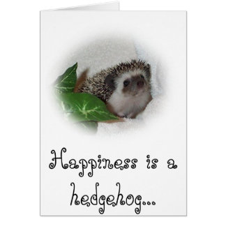 Chalice the Hedgehog Cards