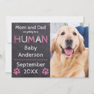 Chalkboard Baby Pink Dog Pregnancy Announcement