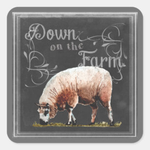 Chalkboard Farm Down on the Farm Sheep Square Sticker