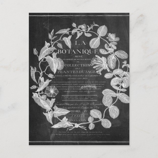 chalkboard scripts french botanical art ivy leaves postcard (Front)