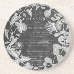 chalkboard scripts french botanical art ivy leaves sandstone coaster