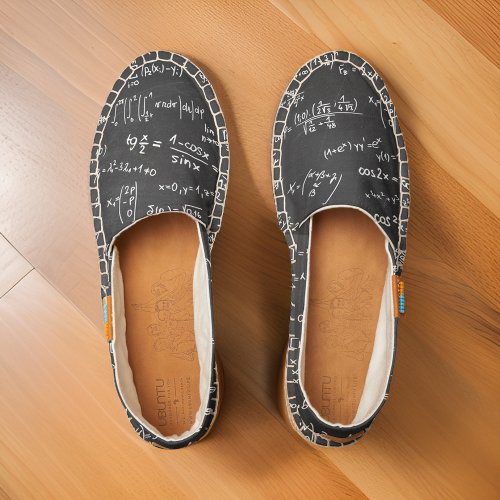 Chalkboard With Math Formulas And Numbers Espadrilles